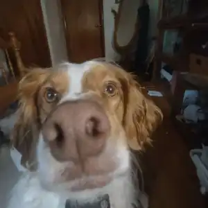 Emmie