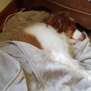 Emmie