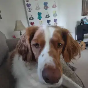 Emmie