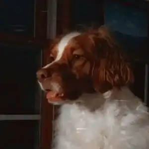 Emmie