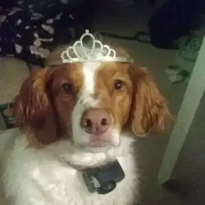 Emmie