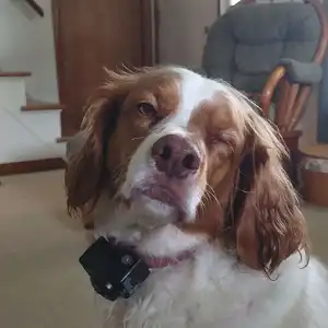 Emmie