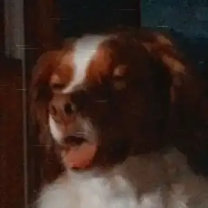 Emmie