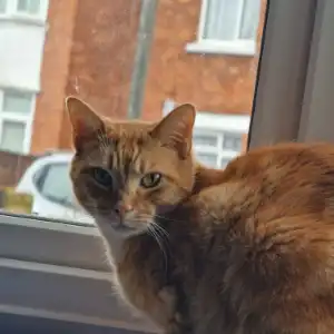 Ruby Archie