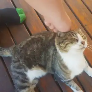 Yugi
