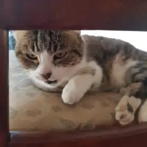 Yugi