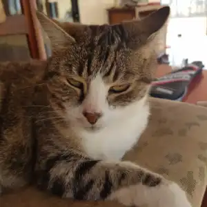 Yugi