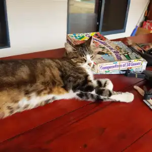 Yugi